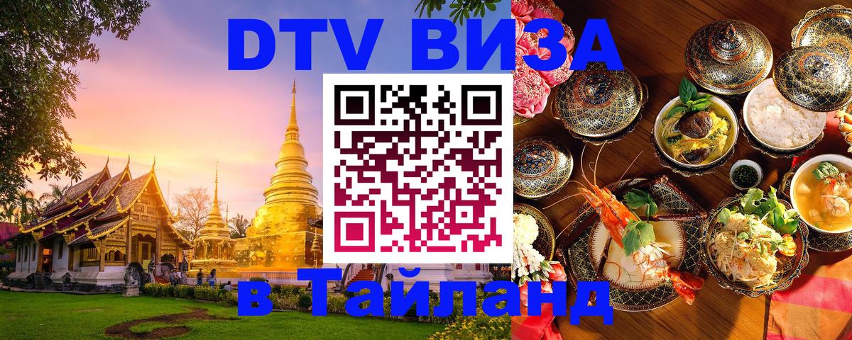 Оформление DTV визы под ключ: стоимость и тарифы, только загранпаспорт - 